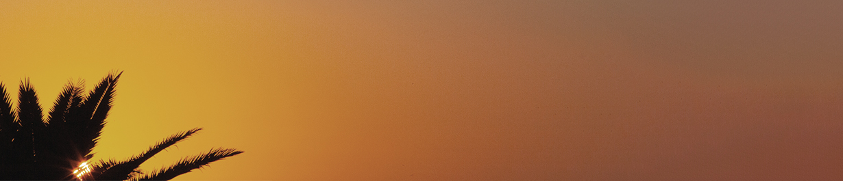 Banner-our-story-palm